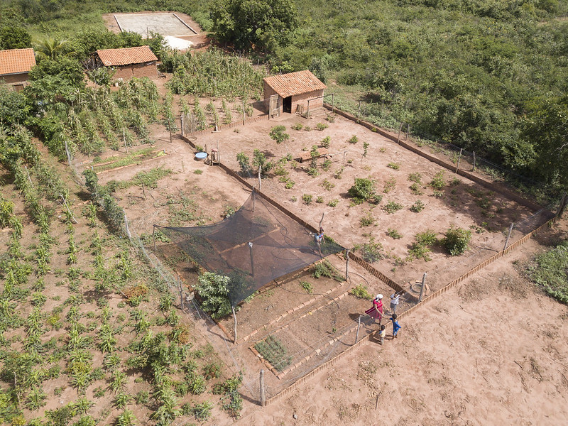 Projeto irá estimular a venda de alimentos aos mercados institucionais