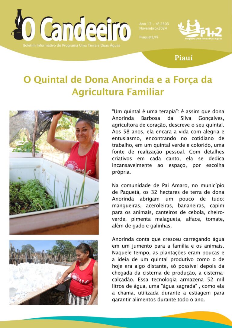 O Quintal de Dona Anorinda e a Força da Agricultura Familiar