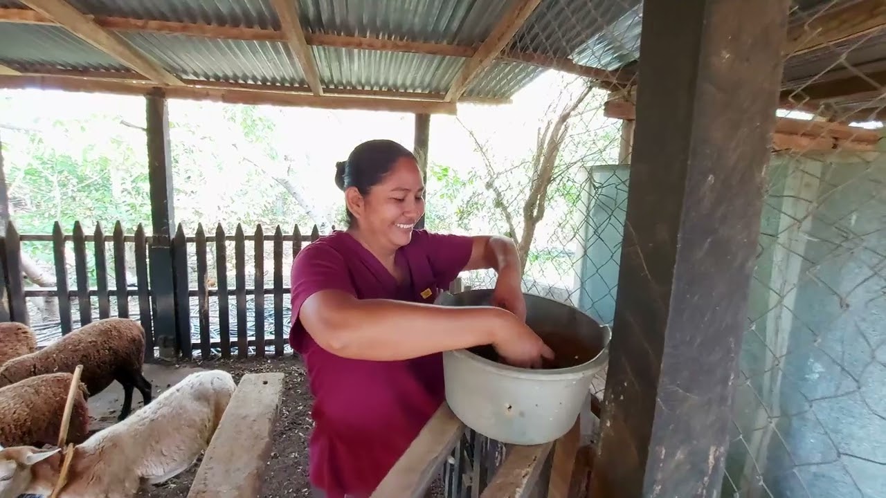 Semiárido Vivo | EP. 28 Xóchilt Acalt (2): empoderamento de mulheres | Corredor Seco Centroamericano