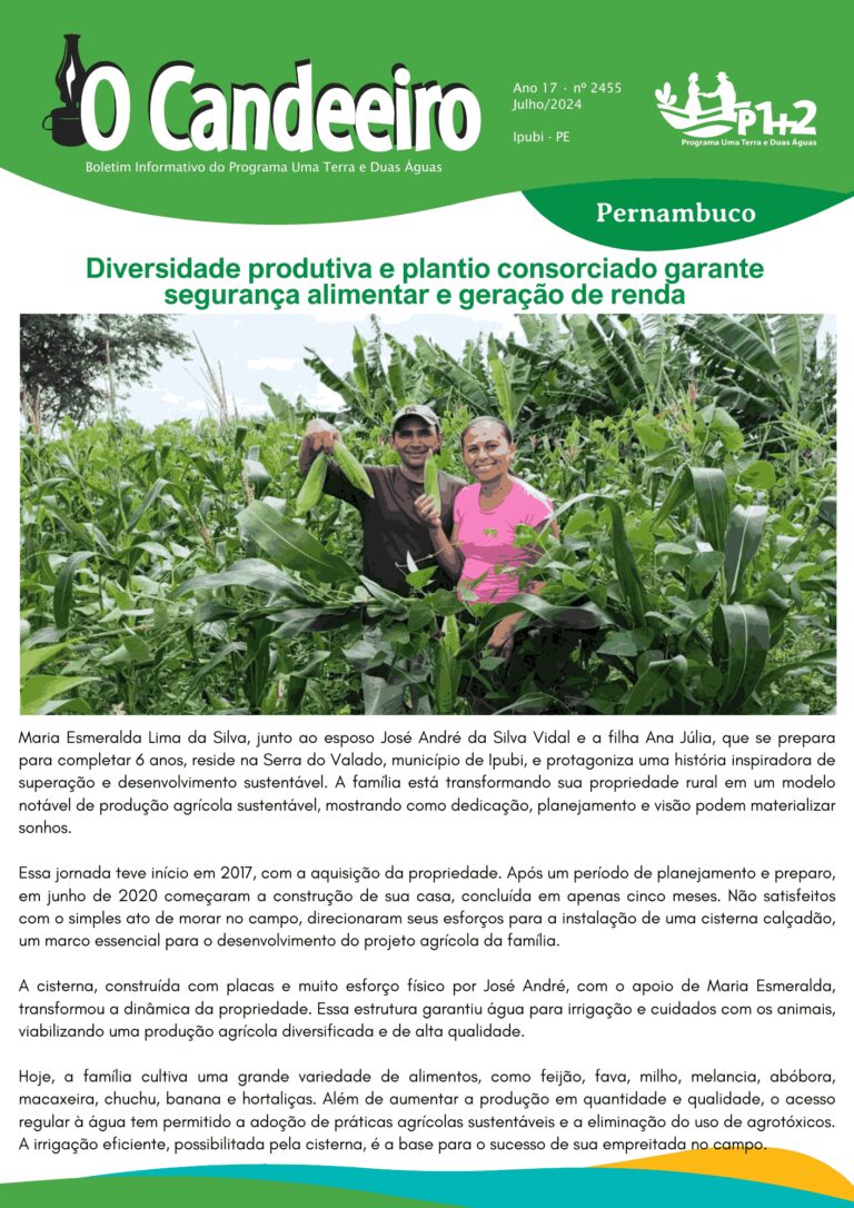 Diversidade Produtiva e Plantio Consorciado Garante Segurança Alimentar e Geração de Renda