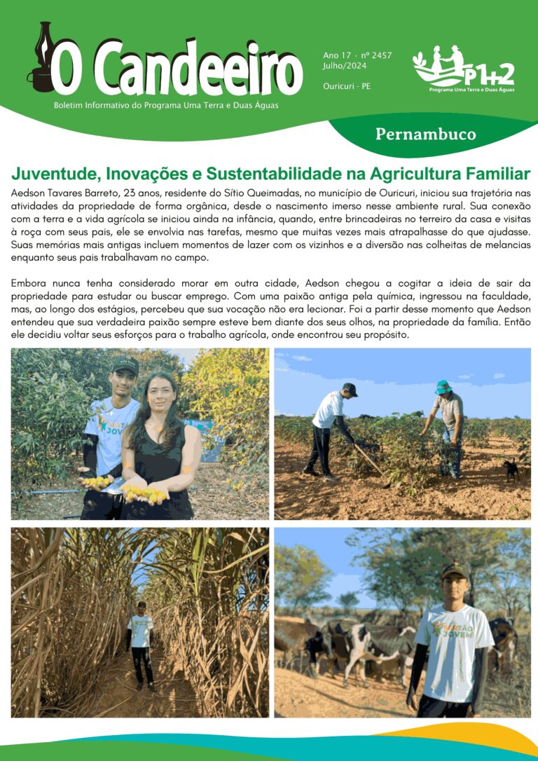 Juventude, inovações e sustentabilidade na agricultura familiar